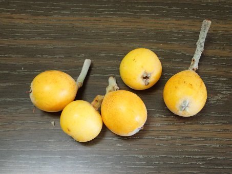 170521kumomi08.jpg