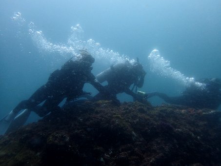 170528tago06.jpg