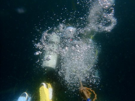 170601tago07.jpg