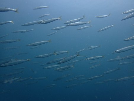 170703tago08.jpg