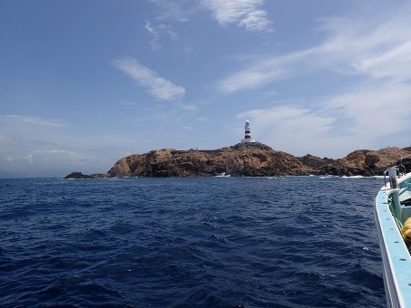 170729mikomoto01.jpg