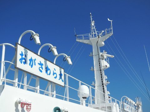 1707ogasawara02.jpg