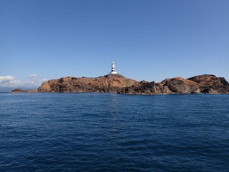 171103mikomoto01.jpg