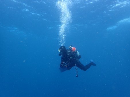 171105mikomoto04.jpg