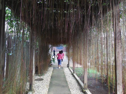 1801bohol02.jpg