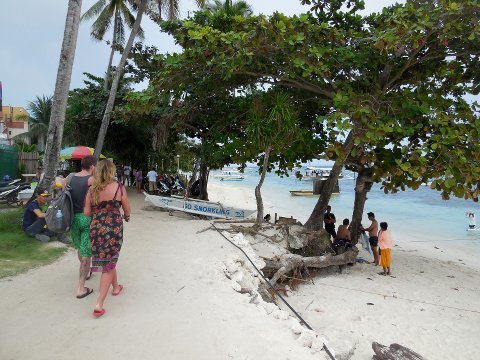 1801bohol05.jpg