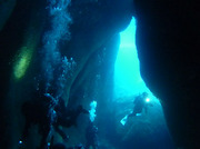 20110405koganedome.jpg