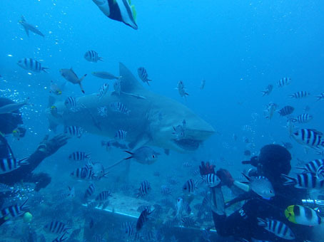 2016fiji43.jpg