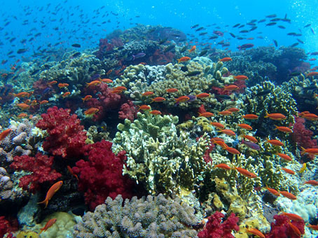 2016fiji89.jpg