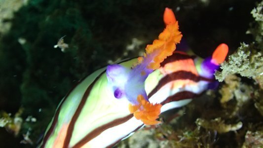 aki0422tago5.jpg