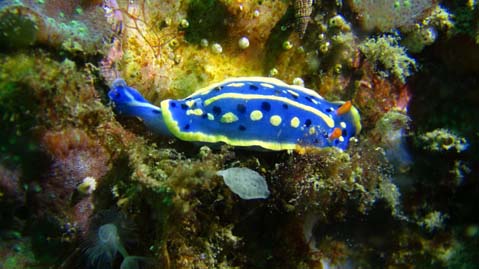 aki0516tago1.jpg