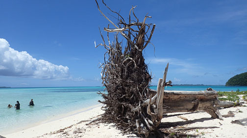 akipalau06.jpg