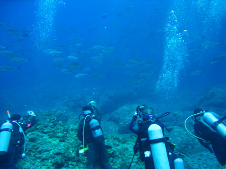 itamitokara2011.jpg
