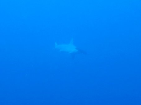 kayama0823mikomoto4.jpg