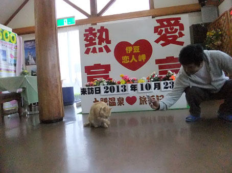 nekoten3.jpg
