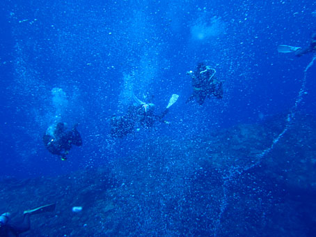 tokara2013log1.jpg