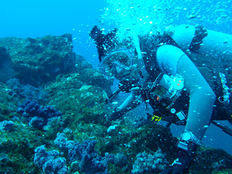 yotyan0901mikomoto1.jpg